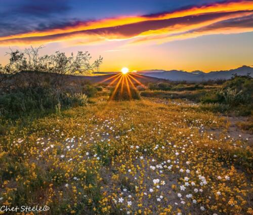 Desert-Sunset-Ridgecrest