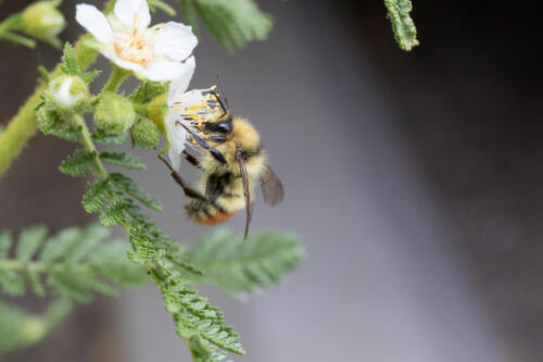 LakeSabrina2016-8.lowresjpg