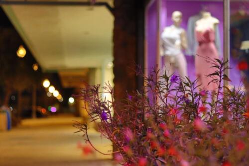 Flowers Downtown Ridgecrest