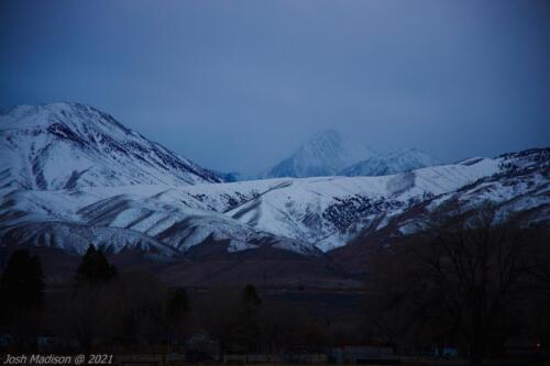 Big-Pine-Sierra-View