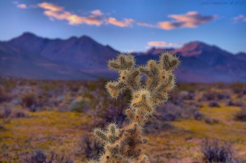 Close-up-Chola-Mountain