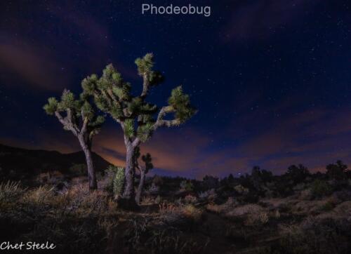 Joshua-Tree-Walkers-Pass