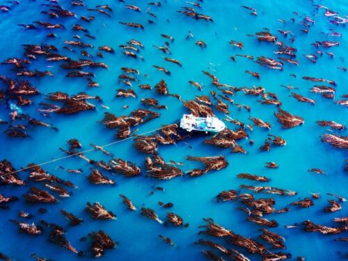 Santa-Barbara-Diveboat