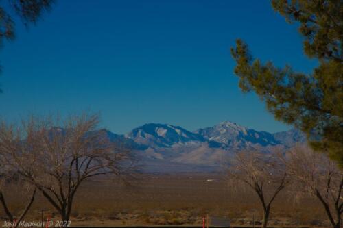 Snow-Covered-Mountains-Between-Trees