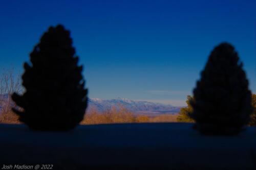 Snow-Covered-Mountains-Pine-Cones