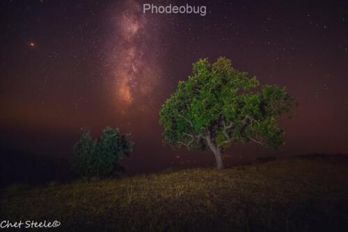 Summer-Night-Stallion-Springs